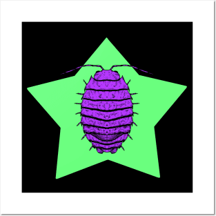 Bug Star Colourful Posters and Art